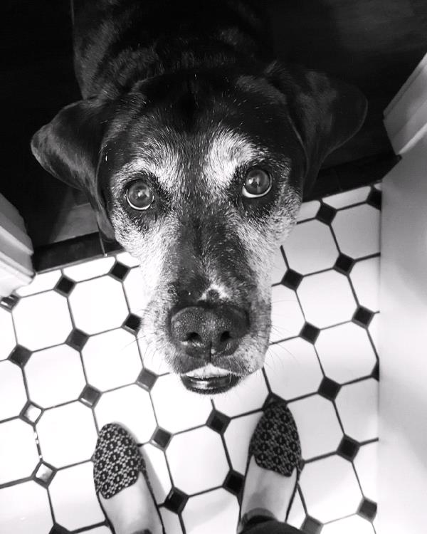 /Images/uploads/Humane Society of Utah/HSUCalendar/entries/834thumb.jpg